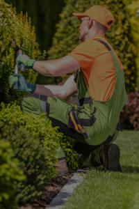 manutenzione parchi e giardini servizi vanoschi